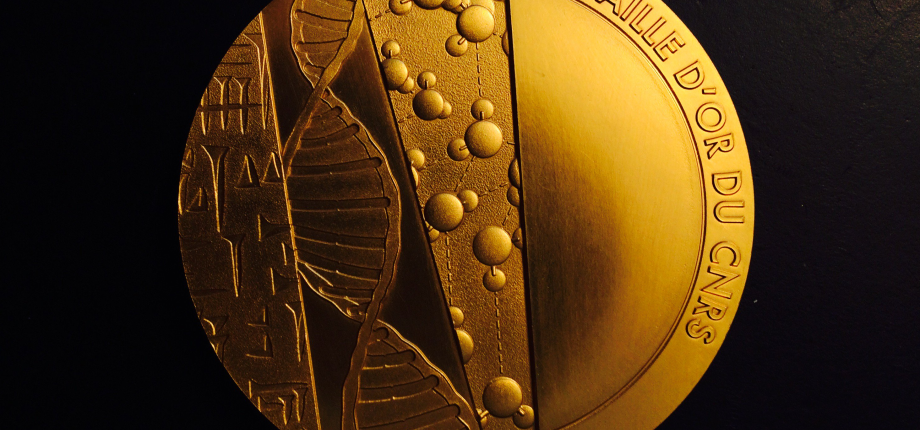 Three researchers from the Institut Polytechnique de Paris awarded CNRS medals