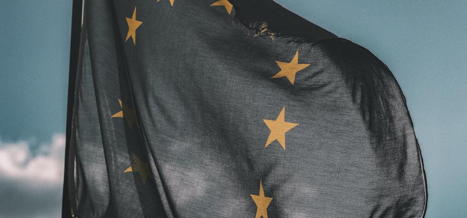 European projects 